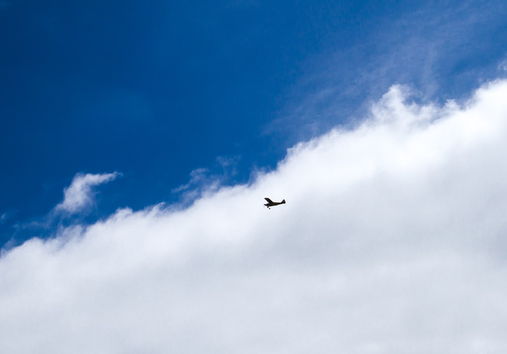 plane flying under white clouds and blue sky during daytime