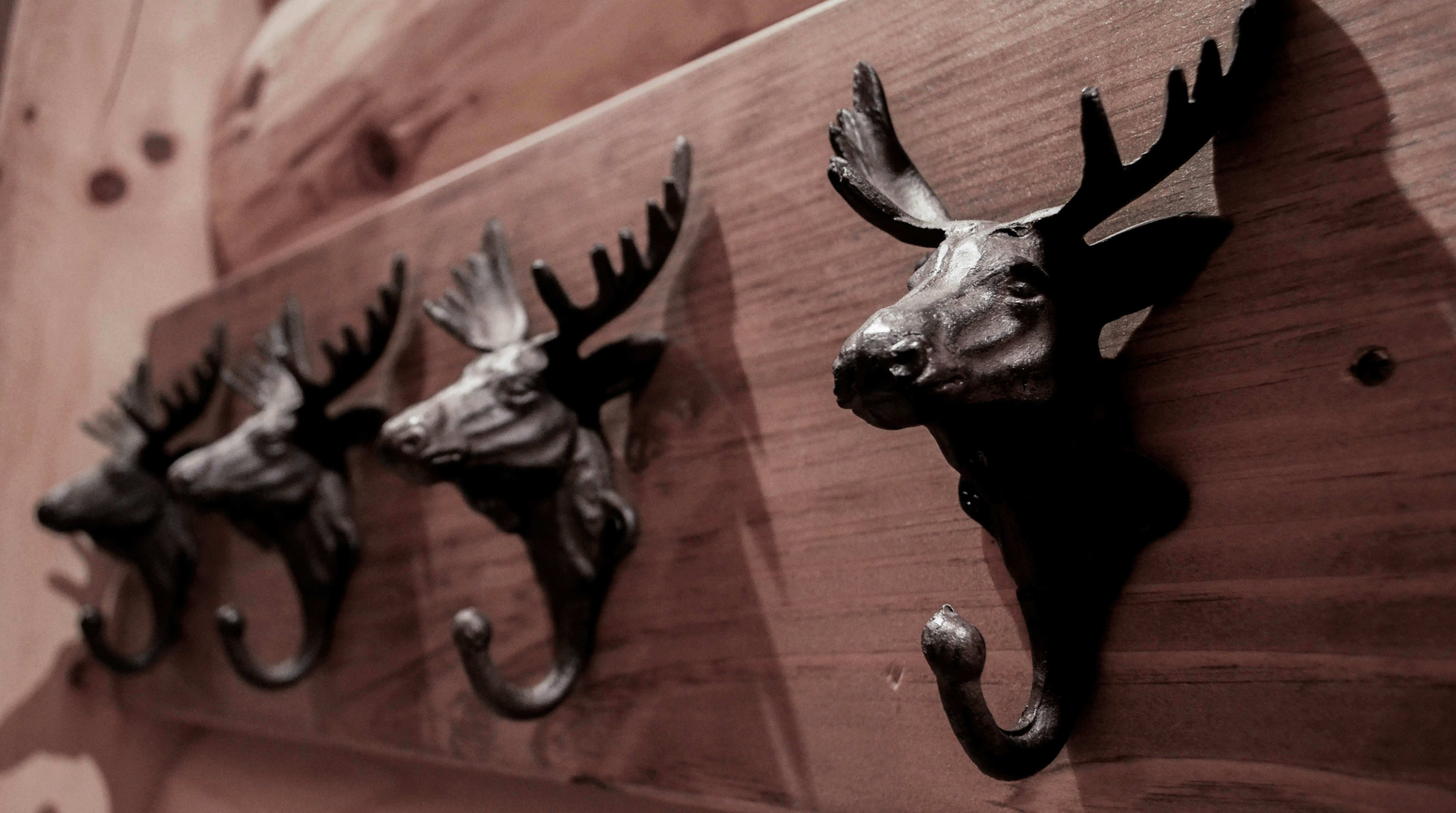 Rustic wooden wall hooks with iron hardware mounted on shiplap wall, coats and bags hanging, warm home interior