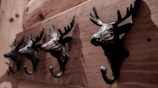 A set of towel hooks mounted on a rustic wooden wall in a cozy bathroom.