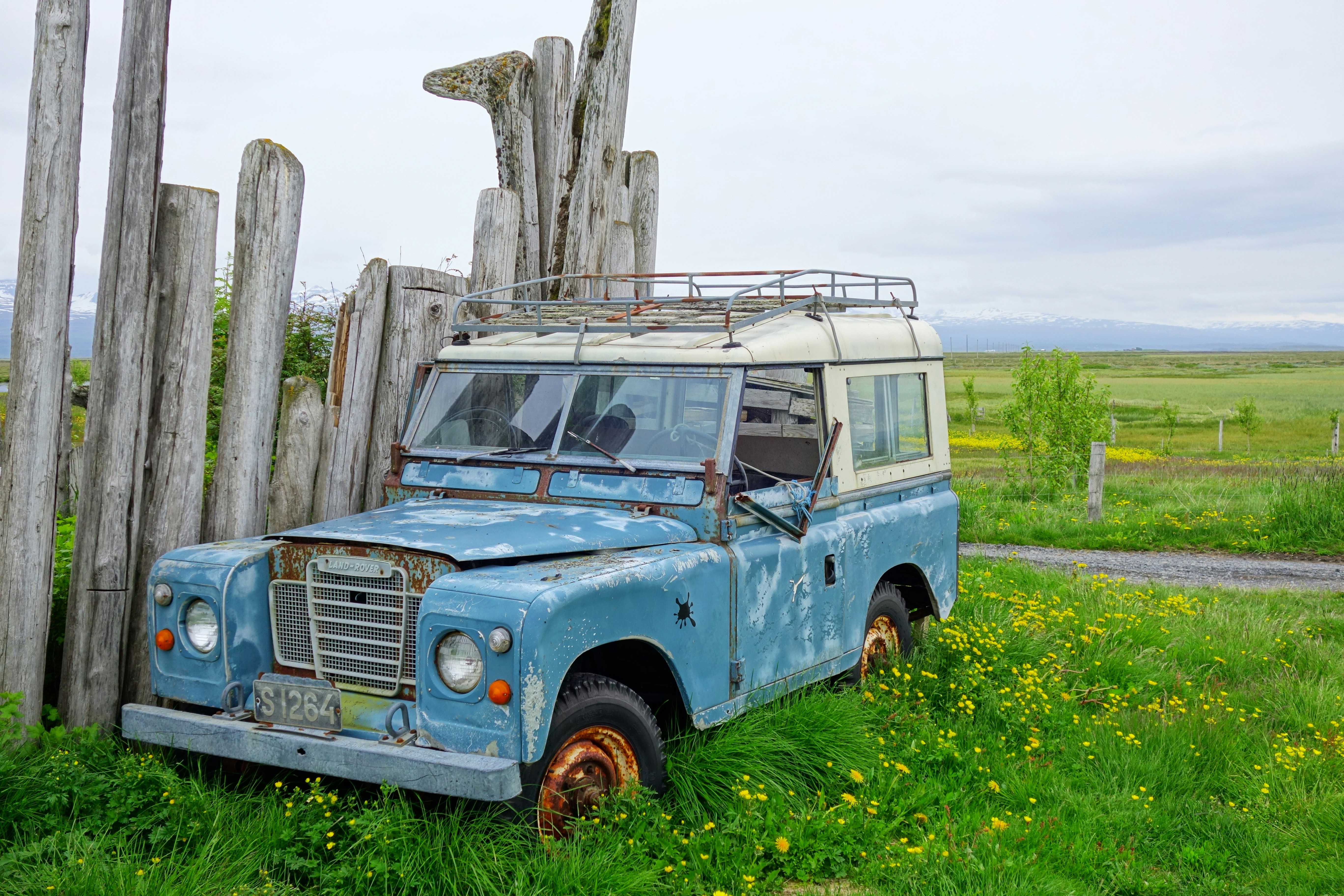 blue and white suv parked beside brown tree trunk during daytime, 