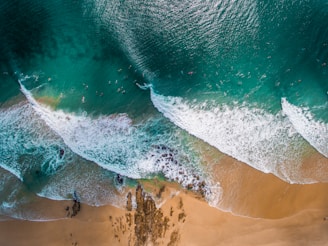 photograph of beach and sand