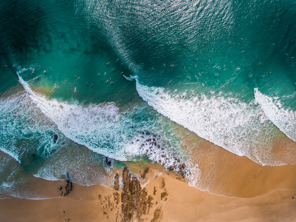 Photographie de plage et de sable