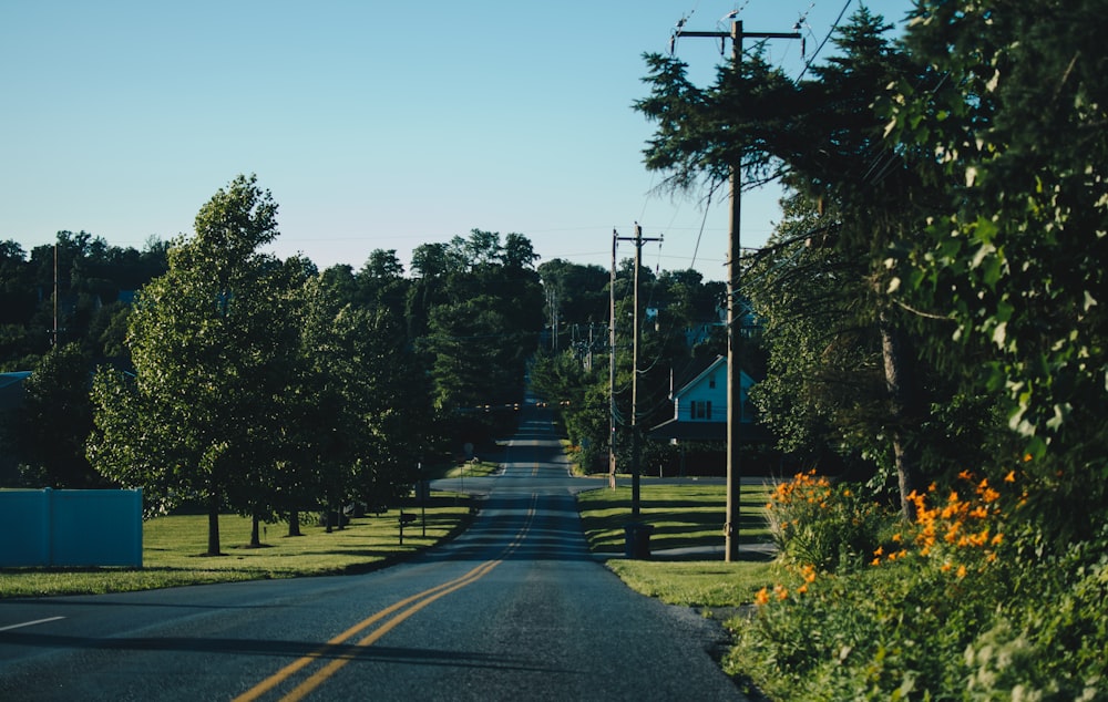 gray concrete road between trees during daytime