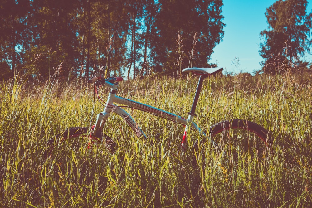 white hardtail bike on grass field