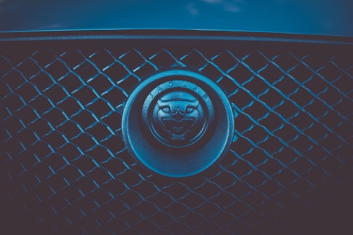 Close-up of a car grille with a circular emblem featuring a stylized animal head, possibly a jaguar, in the center surrounded by a word in uppercase letters. The grille consists of a pattern of crisscrossing diagonal lines.