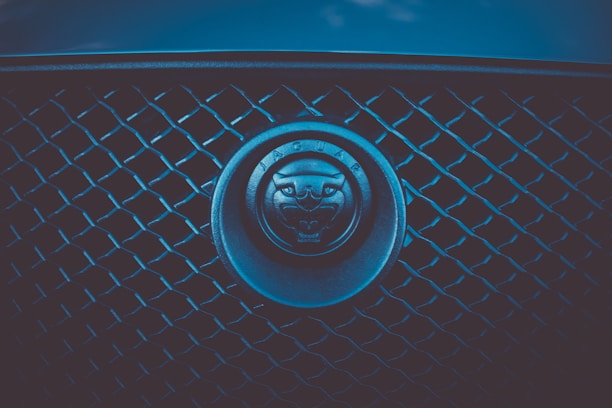 Close-up of a car grille with a circular emblem featuring a stylized animal head, possibly a jaguar, in the center surrounded by a word in uppercase letters. The grille consists of a pattern of crisscrossing diagonal lines.