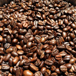 Close-up of glossy, freshly roasted specialty coffee beans in warm golden light