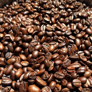 Close-up of freshly roasted coffee beans glistening with natural oils.