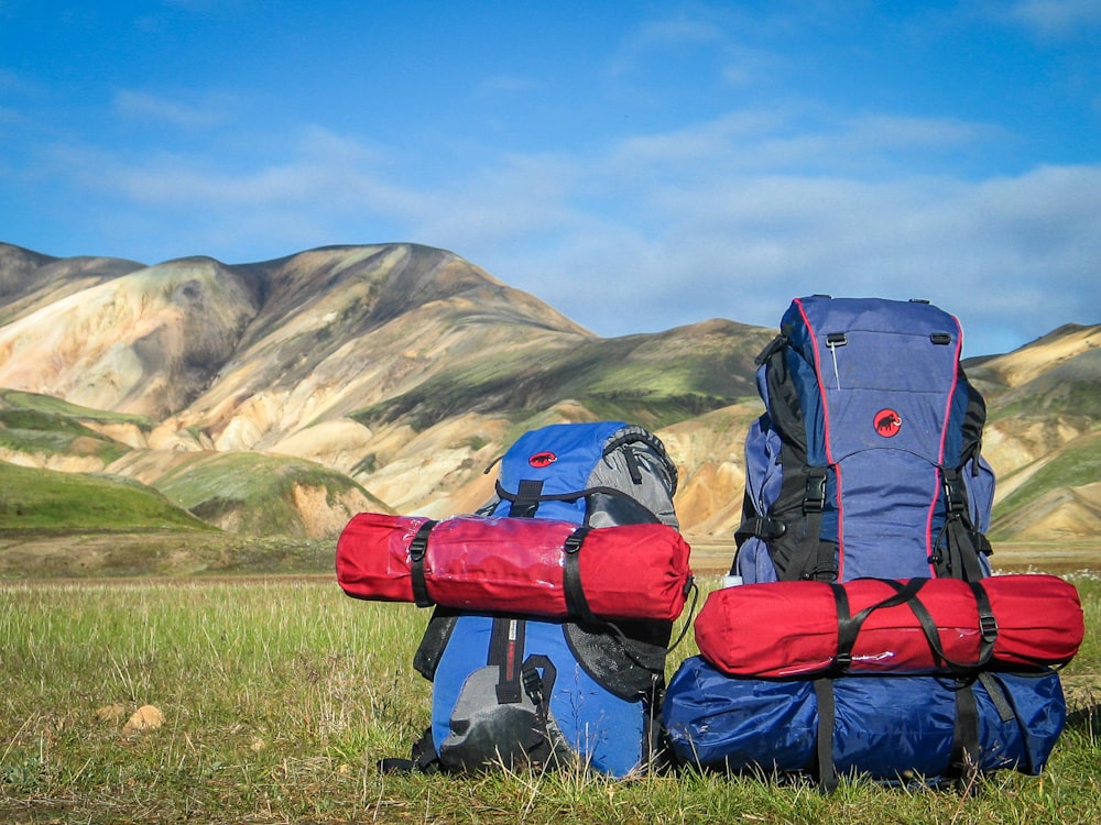 Zaini da trekking su erba con sfondo di montagne