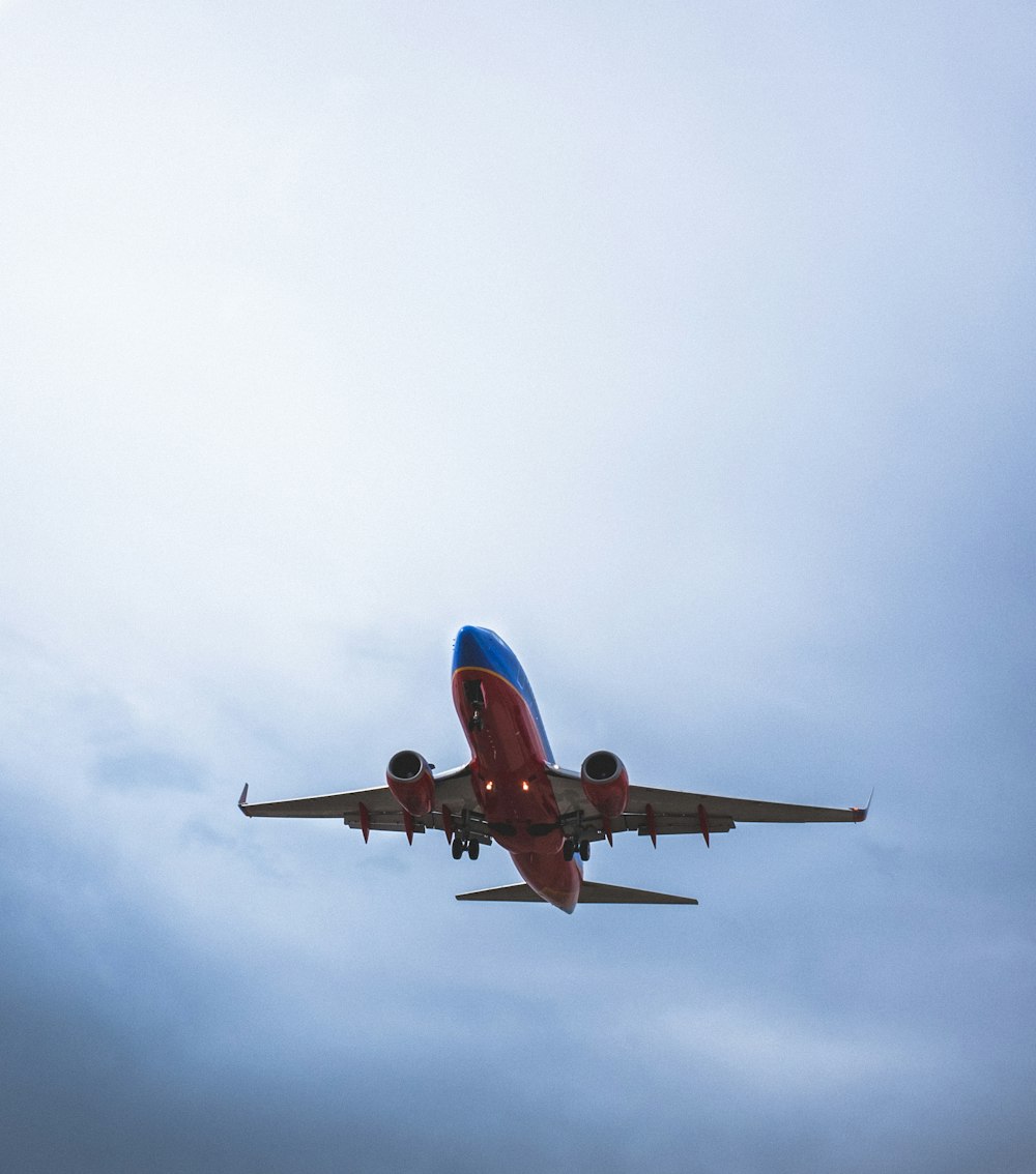 aereo di linea rosso e blu