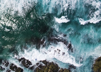 aerial photography of seashore waves