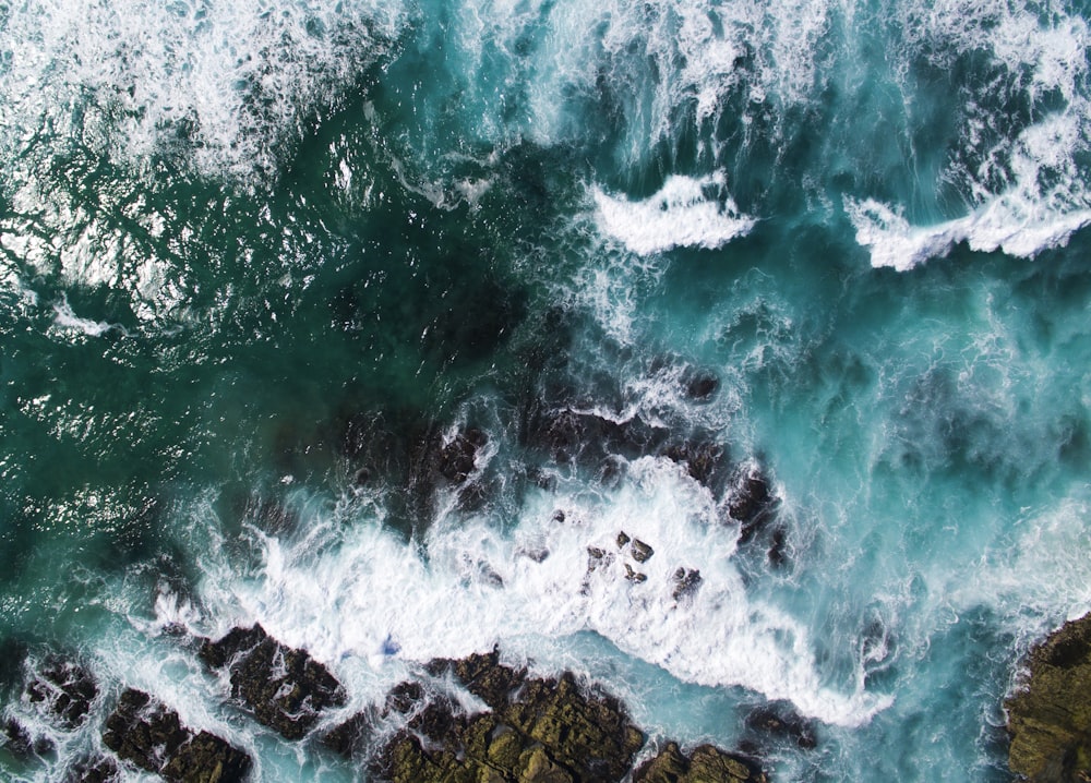 Photographie aérienne des vagues du bord de mer