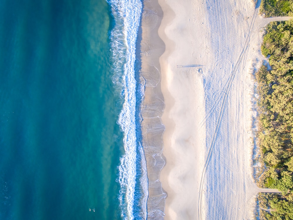 昼間のビーチの航空写真