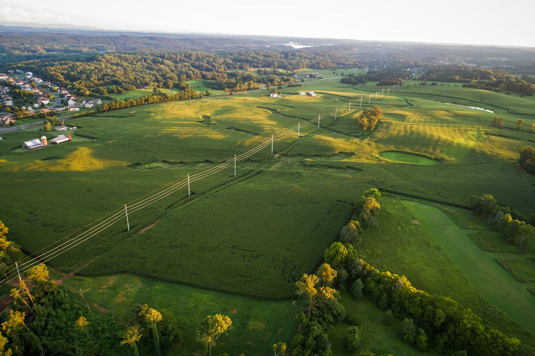 green plains with power lines surrounded by trees at daytime aerial photography