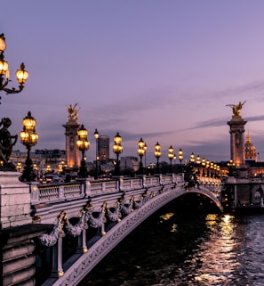 bridge during night time