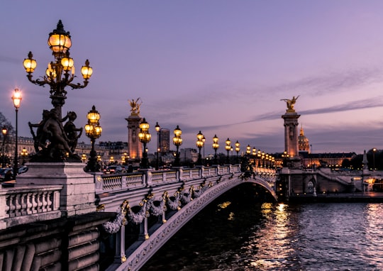 bridge during night time in Pont Alexandre III France