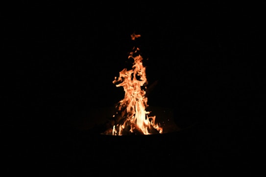 A vibrant campfire burns brightly against a dark background, the flames flickering and reaching upwards with varying shades of orange, yellow, and hints of red. The intensity of the fire provides the only source of light, creating a warm and inviting contrast to the surrounding darkness.