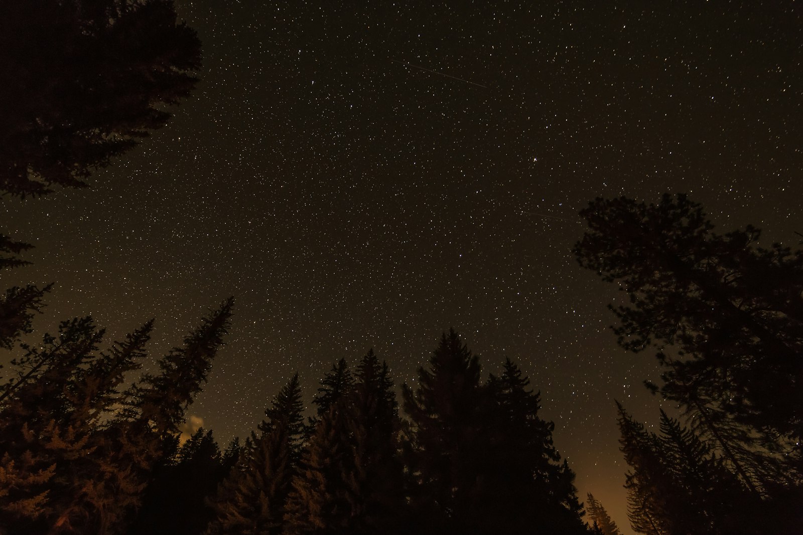 Sigma 14mm f/2.8 EX Aspherical HSM sample photo. Worm's-eye photography of field photography