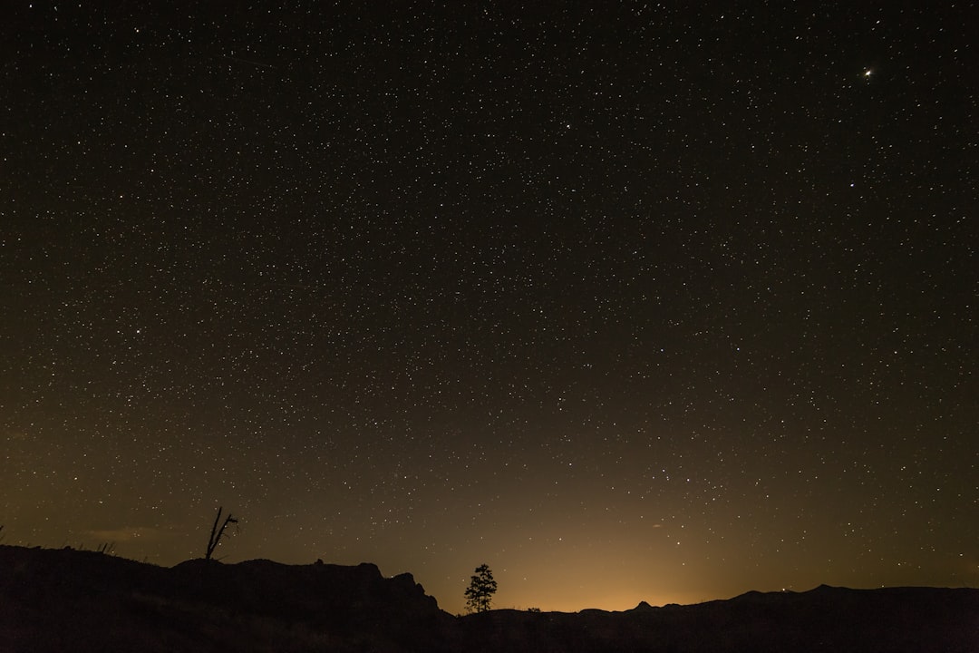 silhouette of hill and tree during nighttime