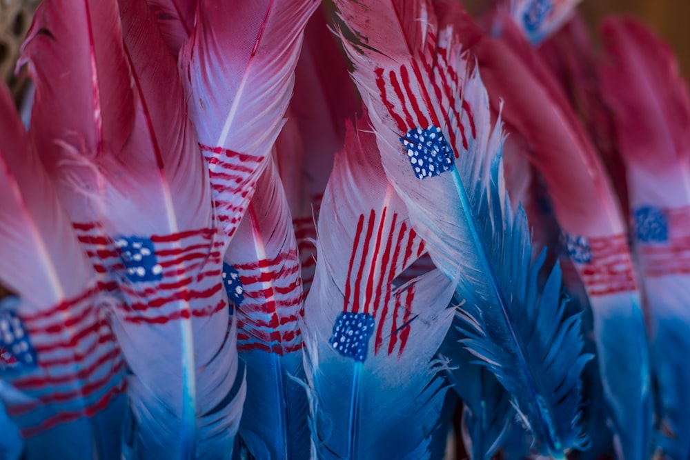U.S.A. flag on feathers