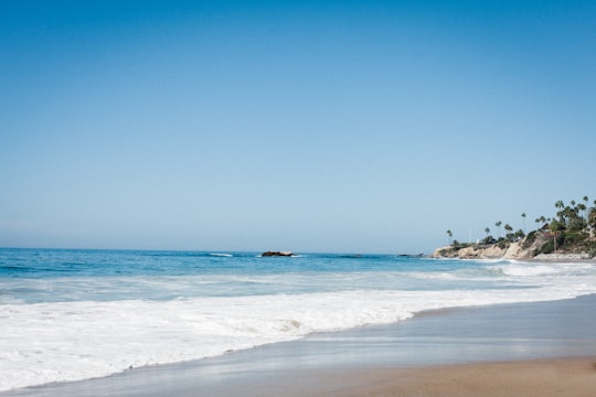 people on beach during daytime in Laguna Beach United States