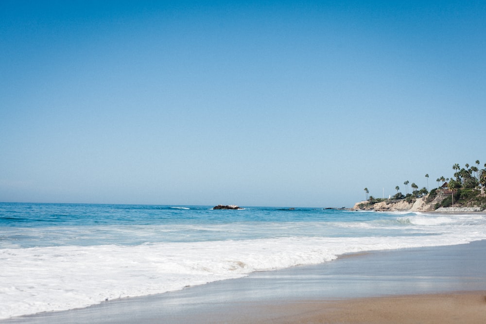 people on beach during daytime