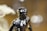 A close-up image of a premium collectible figurine from collecify.