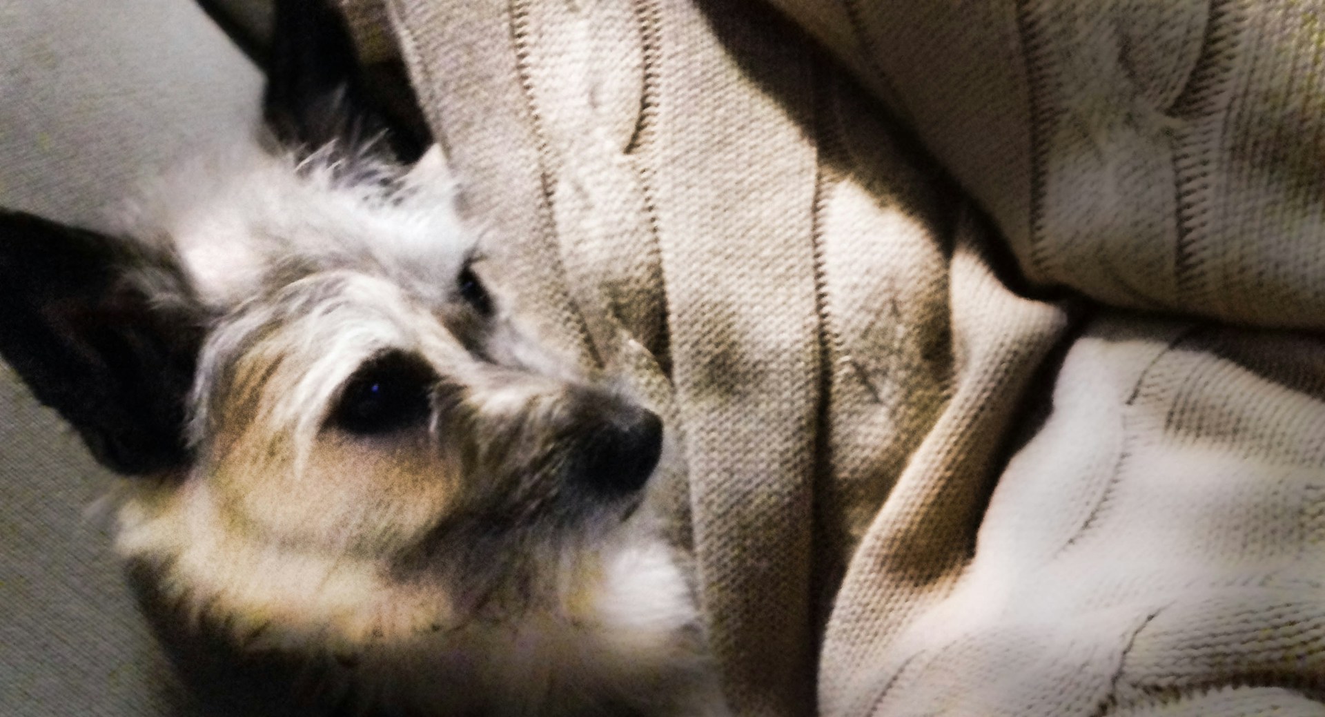 black and white bed linen