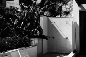 An outdoor shower area with two showerheads mounted on a tiled wall. The surrounding environment includes dense foliage with large leafy plants. There is a white lounge chair leaning against a planter, and shadows cast by the plants and other structures create a dramatic interplay of light and dark.