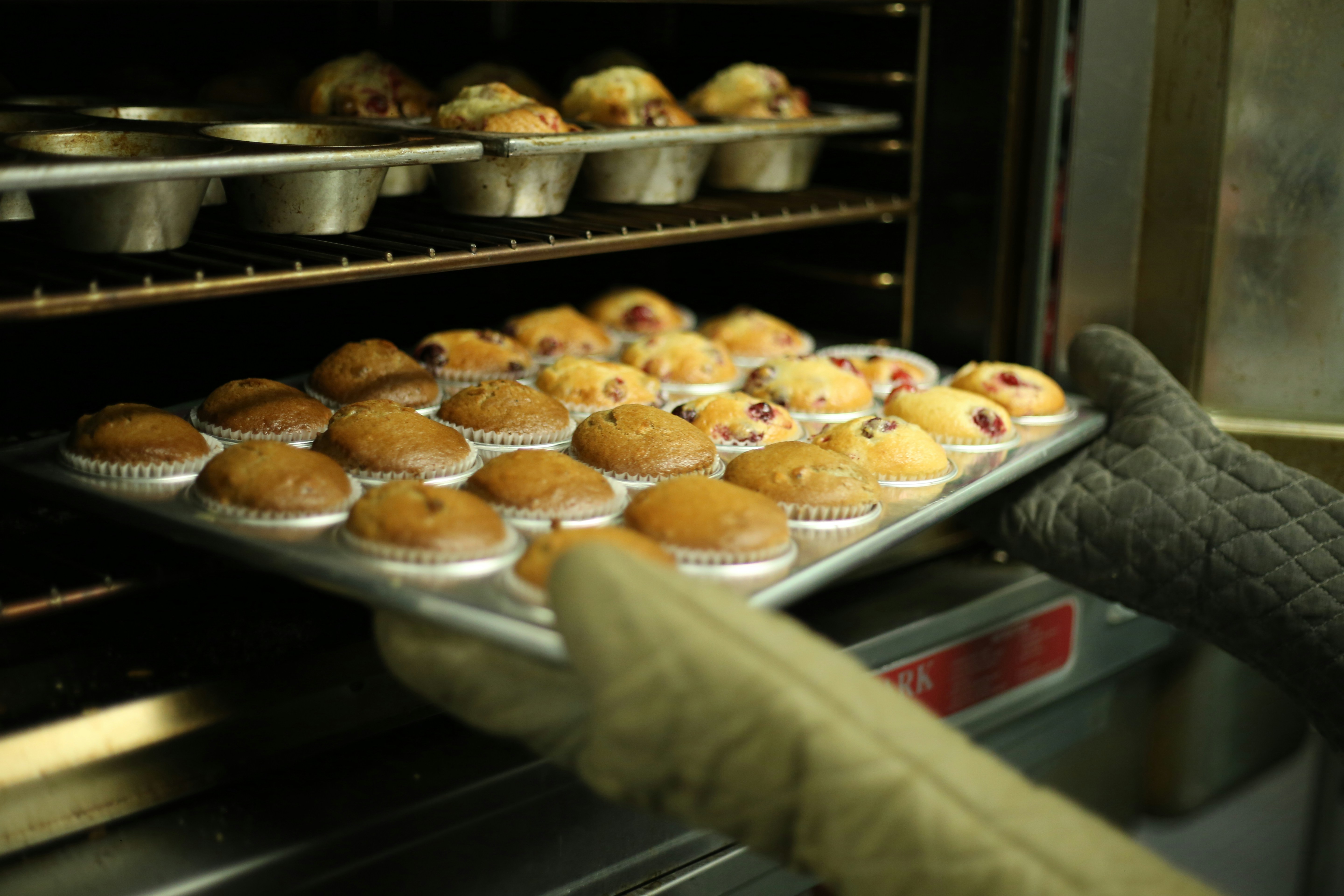 Choco-Caramel Drizzle Cupcakes