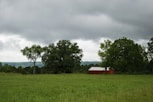A sprawling green field with a small barn and a distant town skyline under a bright blue sky.