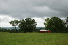 A sprawling green field with a small barn and a distant town skyline under a bright blue sky.