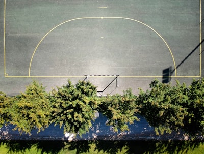 green trees court zoom background