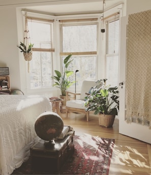 brown wooden framed white padded chair in between green indoor leaf plants inside bedroom