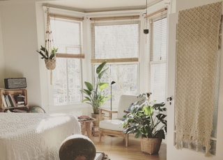 brown wooden framed white padded chair in between green indoor leaf plants inside bedroom