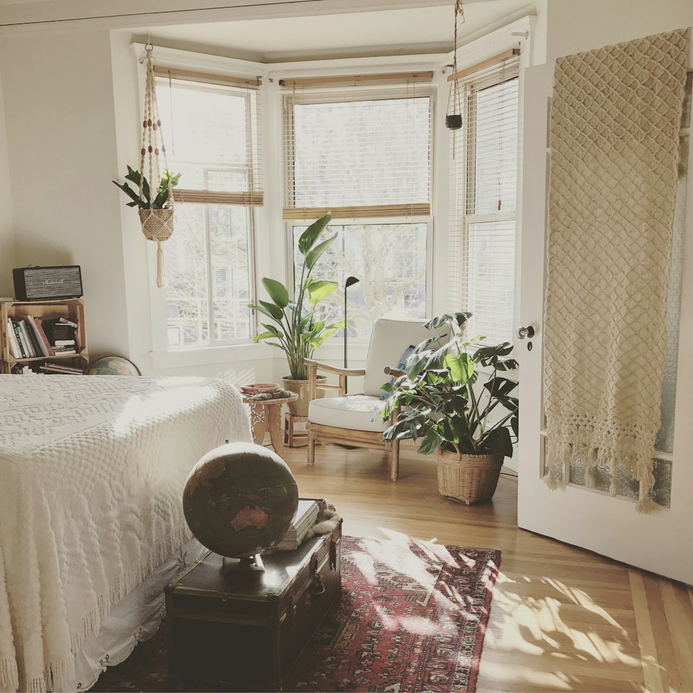 brown wooden framed white padded chair in between green indoor leaf plants inside bedroom