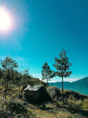 A rustic wooden hut nestled beside a crystal-clear mountain lake under blue skies.