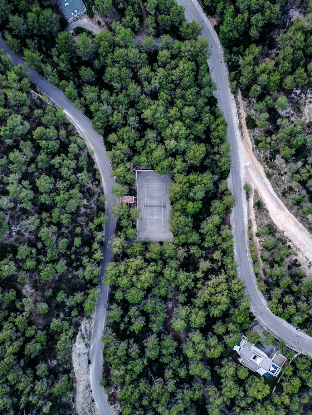 Fotografia aerea di alberi a foglia verde e casa