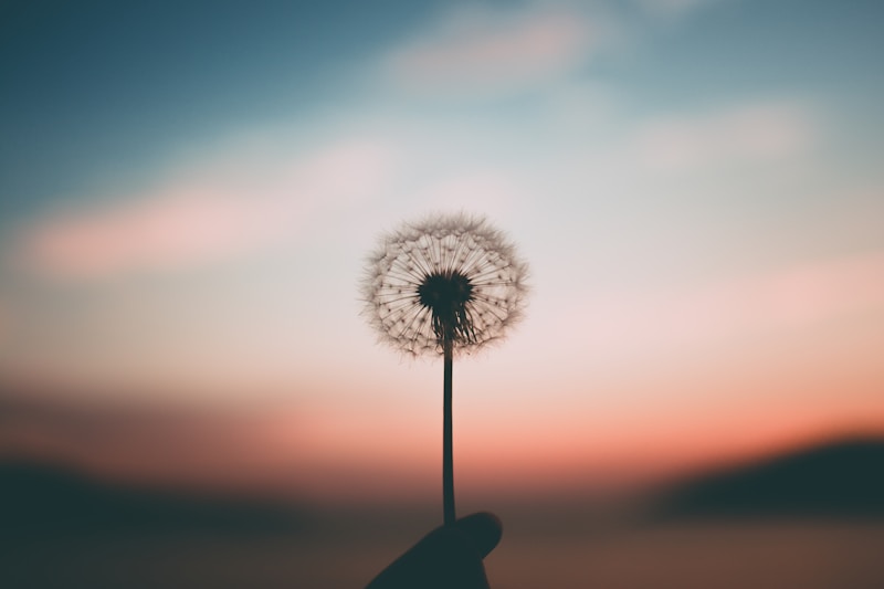 Peace of mind