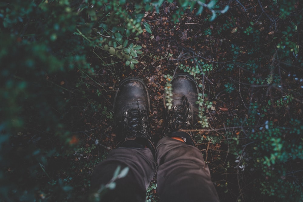 photography of black shoes surrounded by green leaves