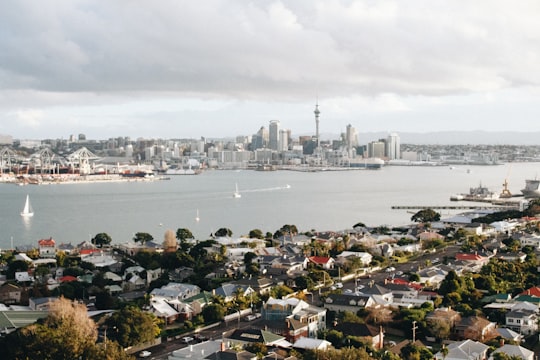 aerial photo of cityscape in Auckland New Zealand