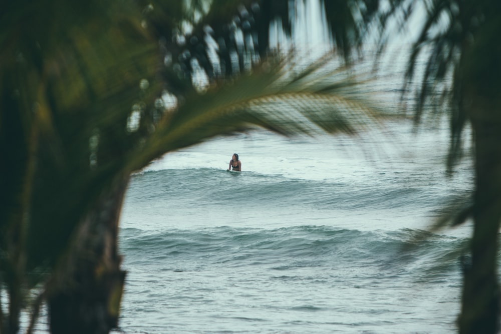 woman swimming on beach during daytime