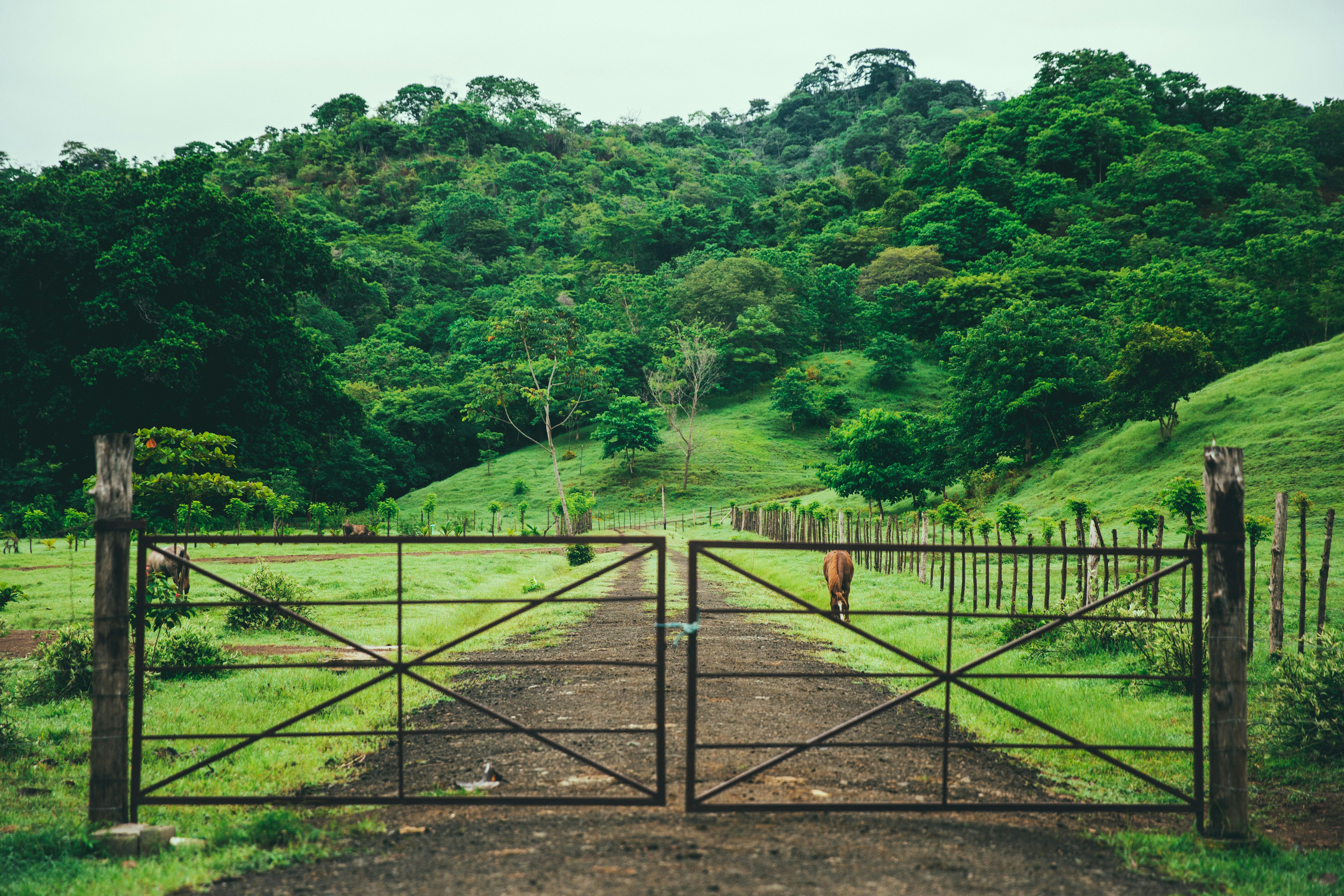 panama