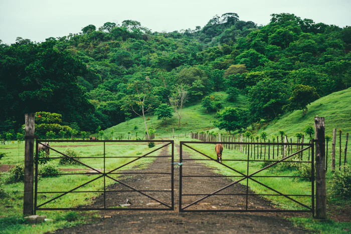 Metal ranch gate across a pasture drive with green hills