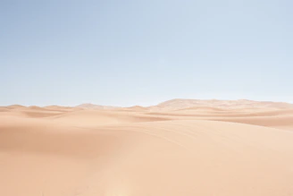sand landscape