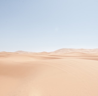 sand landscape