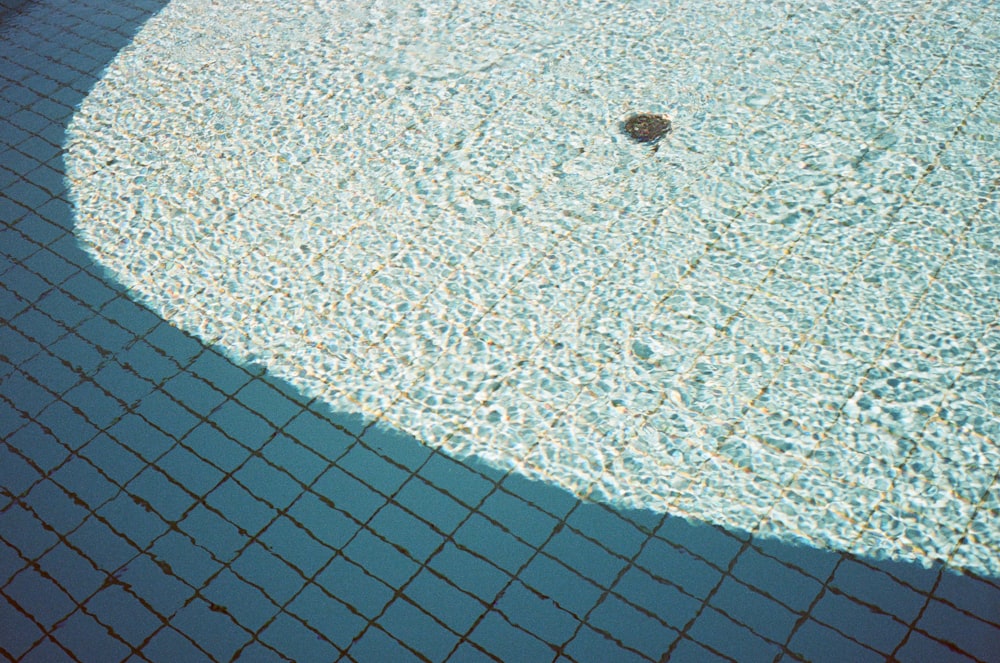 closeup photo of white tile lot