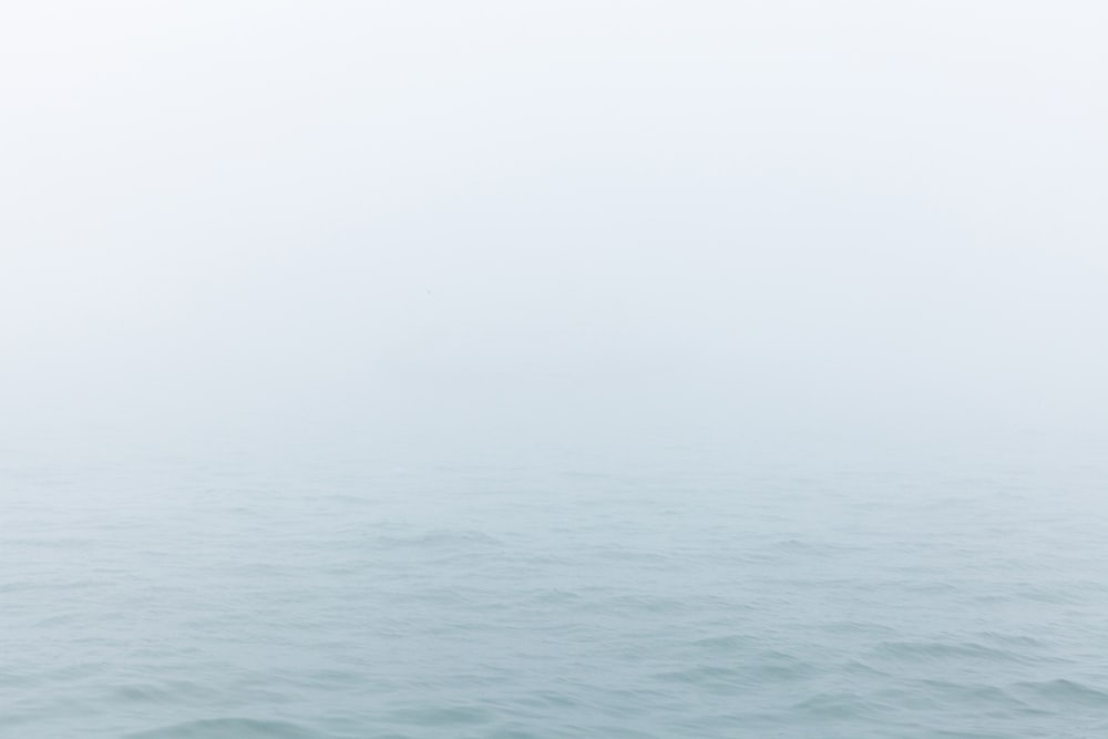 Fotografia selettiva dello specchio d'acqua sotto il cielo bianco durante il giorno