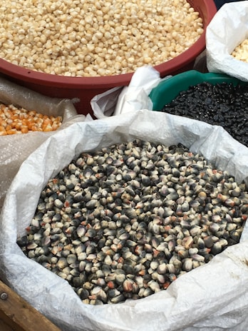 Several bags and containers are filled with different types of corn, including yellow, white, and a black variety. Each type of corn is displayed in a separate bag or container, giving a rich texture and variety to the visual arrangement.