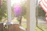 A sunlit guesthouse porch with wooden chairs surrounded by blooming flowers.